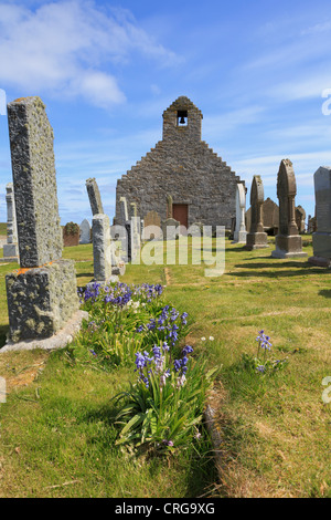 Le vieux St Mary's Church et pierres tombales avec le cimetière de jacinthes à Burwick South Ronaldsay Îles Orkney Ecosse Royaume-Uni Grande-Bretagne Banque D'Images