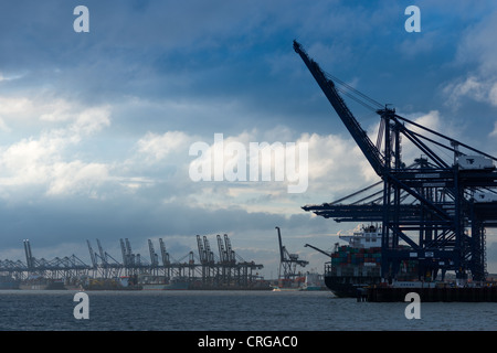 Les quais du port à conteneurs et de Felixstowe, Suffolk, Angleterre. Banque D'Images