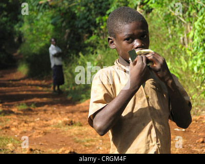 Garçon en zone rurale est de sucer sur une orange, l'homme regarde en arrière-plan, Haïti, Grande Anse, Jeremie Banque D'Images