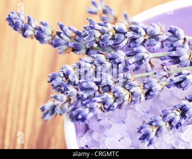 Fleurs de Lavande et de sels de bain sur le bol sur le bois, d'herbes médicinales aromatiques, plante fraîche de fleur pourpre Banque D'Images