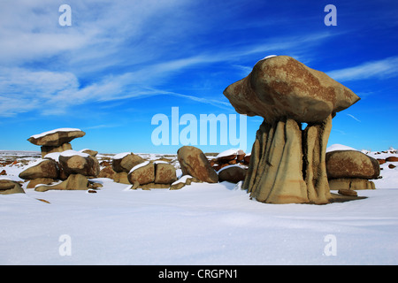 Bisti Badlands, monolithe de grès, USA, New Mexico, Bisti Wilderness Banque D'Images