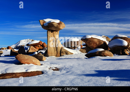 Bisti Badlands, monolithe de grès, USA, New Mexico, Bisti Wilderness Banque D'Images