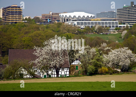 Maisons à pans de bois en face de la Ruhr Bochum, Allemagne, Rhénanie du Nord-Westphalie, région de la Ruhr, Bochum Banque D'Images