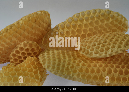 Abeille, ruche abeille (Apis mellifera mellifera), d'abeilles Banque D'Images