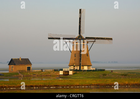 Moulin de Bol près dans la lumière du matin, houblon, Pays-Bas Texel Banque D'Images