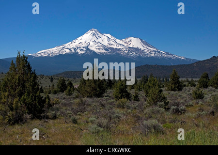 Vue panoramique sur le Mont Shasta (ou White Mountain) le comté de Siskiyou, le nord de la Californie, USA en Juin Banque D'Images