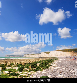La plage à Urrugne, East Sussex, et les falaises de craie connus sous le nom des sept soeurs, sur une belle journée ensoleillée d'été anglais. Banque D'Images