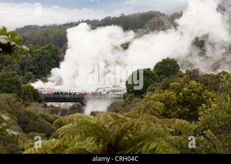 Scène primitive au Te Puia zone géothermique, Rotorua, Nouvelle-Zélande 6 Banque D'Images