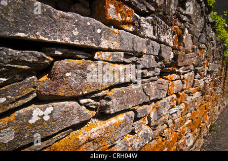 Mur de pierre avec orange lichen poussant sur elle dans le sud de la France. Banque D'Images