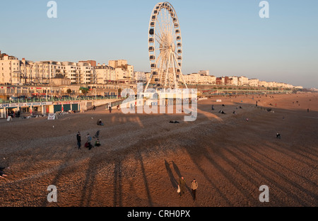 La roue de Brighton sur la plage de Brighton, Sussex, UK Banque D'Images