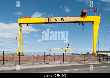 Chantier naval Harland and Wolff - grues emblématiques, Samson - la plus proche - et Goliath, Belfast, en Irlande du Nord Banque D'Images