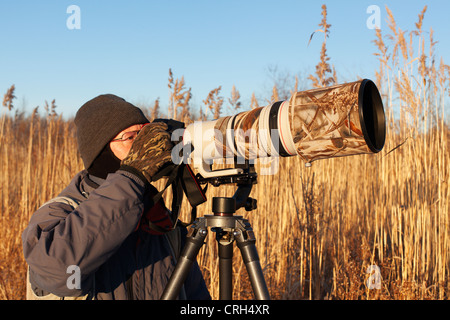 Un photographe de la nature la faune de tir avec un super téléobjectif. Banque D'Images