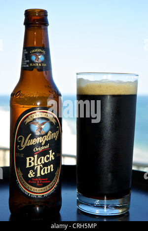 Flacon en verre givré Yuengling Black & Tan dark brassé la bière porter Banque D'Images