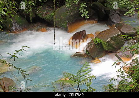 Rio Celeste (bleu) de la rivière Cascade dans le Parc National du Volcan Tenorio, le Costa Rica. Banque D'Images