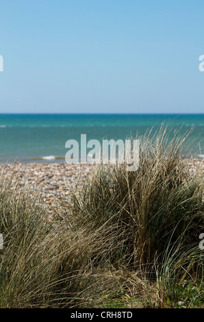 Plage de l'ouest à Littlehampton, West Sussex Banque D'Images