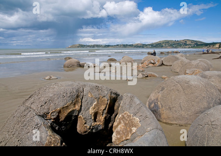 Les Moeraki Boulders sur la côte pacifique de l'île du sud de la Nouvelle-Zélande Banque D'Images