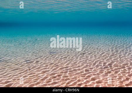 Les ondulations de sable en eau peu profonde qui se reflètent dans la surface au-dessus Banque D'Images