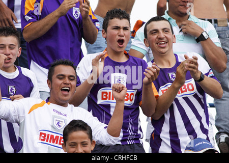 Football / soccer fans de club dans le stade Saprissa de Cartago, Costa Rica. Banque D'Images