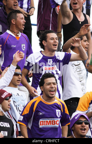 Football / soccer fans de club dans le stade Saprissa de Cartago, Costa Rica. Banque D'Images