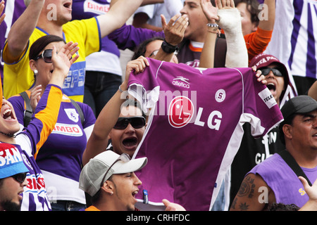 Football / soccer fans de club dans le stade Saprissa de Cartago, Costa Rica. Banque D'Images