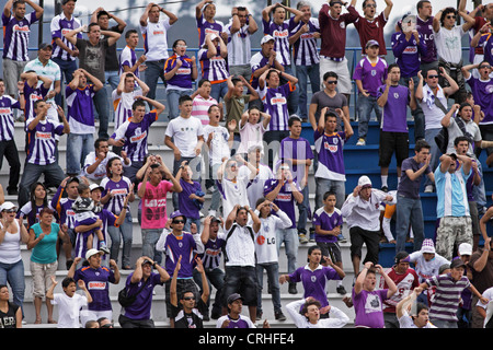 Football / soccer fans de club dans le stade Saprissa de Cartago, Costa Rica. Banque D'Images