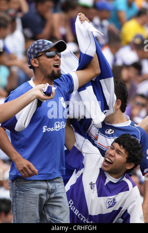 Football / soccer fans de club Cartago Cartago au Stadium, le Costa Rica. Banque D'Images