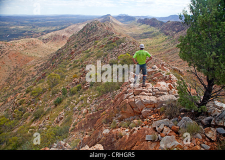 Vue le long des West MacDonnell Ranges à Mt Sonder à partir de dénombrements Larapinta Trail sur le point Banque D'Images