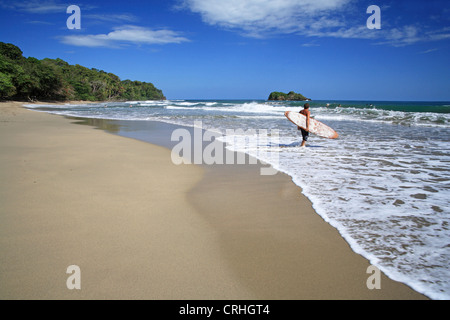 Surfer à Playa Cocles près de Puerto Viejo, Costa Rica, Côte des Caraïbes. Banque D'Images