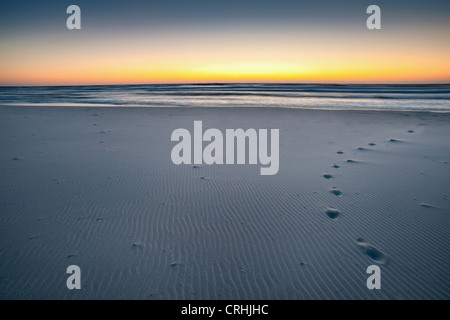 Empreintes de pas sur une plage de sable au lever du soleil Banque D'Images