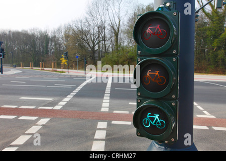 Vélo vert des feux de circulation, Allemagne Banque D'Images