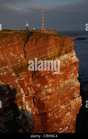 Bernois, la Terre avec phare et la tour radio, Allemagne, Helgoland Banque D'Images