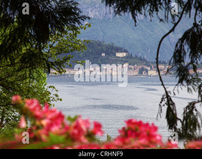 Vue sur le lac de Côme Bellagio vers des jardins de la Villa Carlotta, Lac de Côme, Lombardie, lacs italiens, Italie Banque D'Images