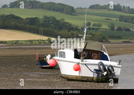 Montrose Basin à marée basse l'exposition et les vasières de Sandbanks. Angus Scotland UK Banque D'Images