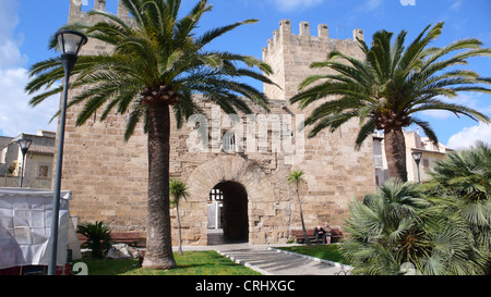 Île des Canaries (Phoenix canariensis), les paumes en face de la porte de la ville historique, l'Espagne, Baléares, Majorque, Alcudia Banque D'Images