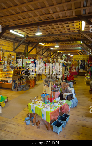 Makasiini intérieur boutique intégrée dans l'ancien bâtiment de chemin de fer à l'ancienne gare d'Uusimaa Porvoo Finlande province du nord de l'Europe Banque D'Images