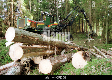 La déforestation de la forêt en Suède Banque D'Images