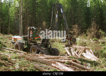 La déforestation de la forêt en Suède Banque D'Images