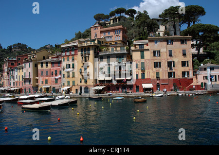 Les petits bateaux amarrés dans le port de Portofino, Italie, célèbre pour ses visiteurs de célébrité Banque D'Images