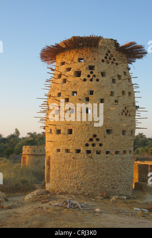 Pigeonry dans l'oasis de Siwa, Egypte, Siwa-Oase Banque D'Images