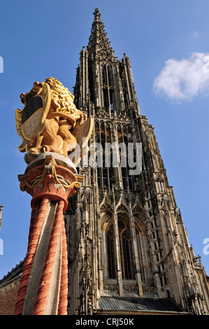 Cathédrale d'Ulm, Ulmer Münster avec lion bien sur Münsterplatz, Allemagne, Bade-Wurtemberg, Ulm Banque D'Images