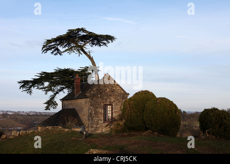 C'est une photo du quartier du château médiéval ou forteresse de Domfront en Normandie en France. Il est en ruines détruit Banque D'Images