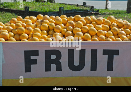 Stand de fruits en bordure de route le long du corridor I-75 dans le Nord de la Floride. Banque D'Images