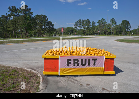 Stand de fruits en bordure de route le long du corridor I-75 dans le Nord de la Floride. Banque D'Images