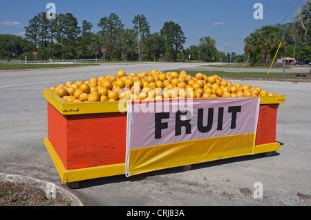 Stand de fruits en bordure de route le long du corridor I-75 dans le Nord de la Floride. Banque D'Images