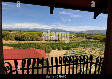 Vue de l'Highfield Wine Estate et de vignobles dans la région de Marlborough près de Blenheim, Nouvelle-Zélande Banque D'Images