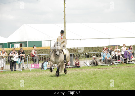 L'équitation Cheshire Show Banque D'Images