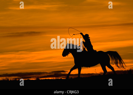 Amérique du Nord ; USA ; Wyoming ; Shell ; Avec : équitation dans le coucher du Soleil avec corde lariat ; (MR) Banque D'Images