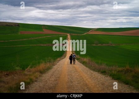 Les promeneurs sur El Camino de Santiago de Compostela dans le Nord de l'Espagne Banque D'Images