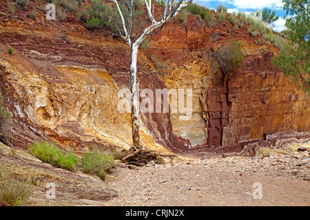 Les couleurs des murs de l'ocre des fosses dans le West MacDonnell Ranges Banque D'Images