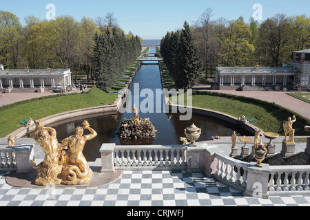 Grande cascade, Vue du palais de Peterhof, terrasse, près de Saint-Pétersbourg, Russie Banque D'Images